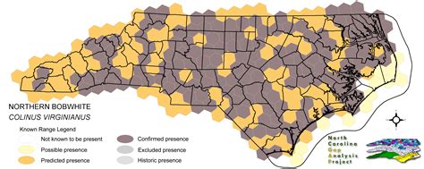 Bobwhite Quail Range