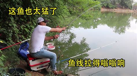 手竿挑戰30斤的巨型鰱鳙，這魚也太猛了，魚線拉得呼呼響！ Youtube