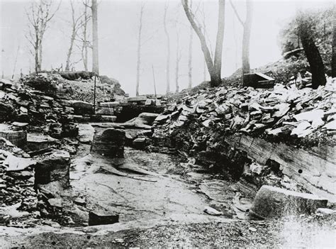 Fossil Grove Glasgow - A Grove of Fossil Trees in Glasgow's Victoria Park