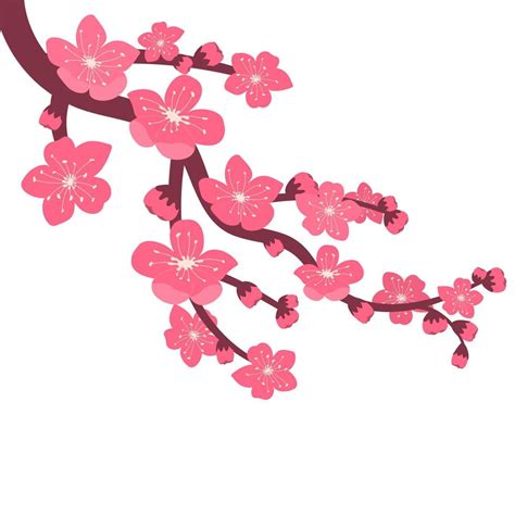 cherry blossom branch 18977854 Vector Art at Vecteezy