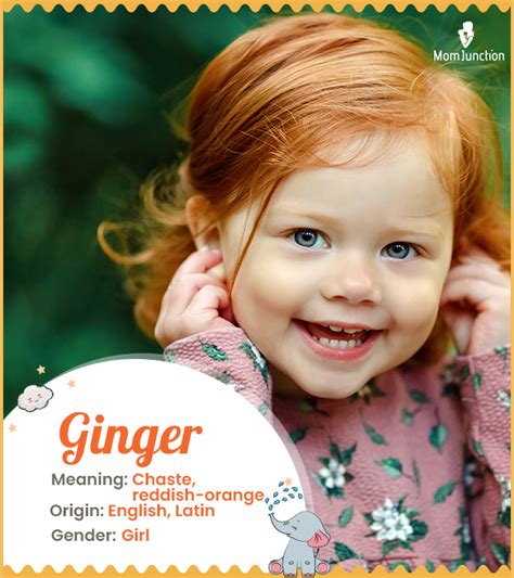 Ginger Name Meaning Origin History And Popularity