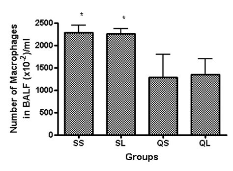 Percentage Of Macrophages In Balf Cells Of Rats After Intratracheal