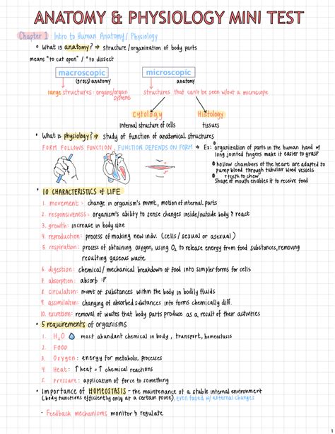 Study Guides For Anatomy And Physiology 1