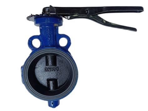 Kranti Ci Butterfly Valve At Rs Butterfly Valve In Bengaluru