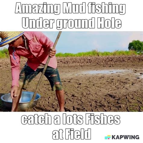 Amazing Mud Fishing Under Ground Hole Catch A Lots Fishes At Field By A