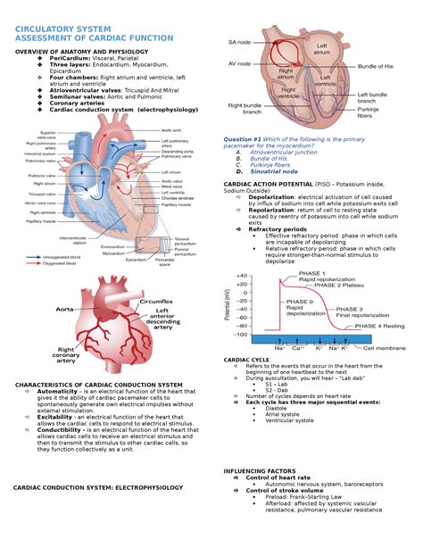 Circulatory System Reviewers Notes CIRCULATORY SYSTEM ASSESSMENT OF