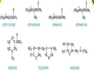 Farmacos Colinergicos PPT