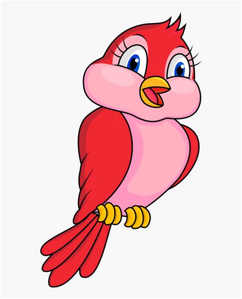 Bird Clipart Cartoon - Cartoon Bird Clipart, HD Png Download - kindpng