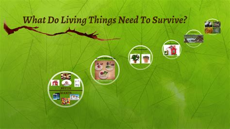 What Do Living Things Need To Survive? by b cf on Prezi Next