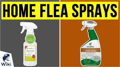 10 Best Home Flea Sprays 2020 Youtube