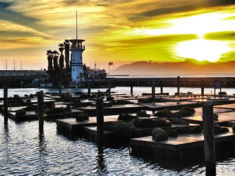San Francisco - Pier 39 SanFrancisco | Pier 39 san francisco, Gate city