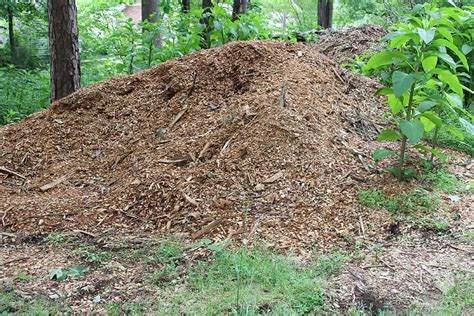 Wood Mulch And Soil