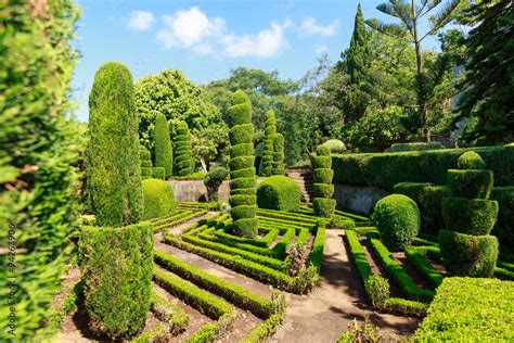 Exquisite bushes in the garden Stock Photo | Adobe Stock