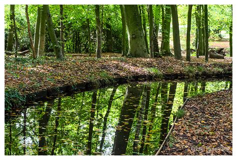 Herfst In Park Klarenbeek Arnhem Landscape Rural Photos Henny S