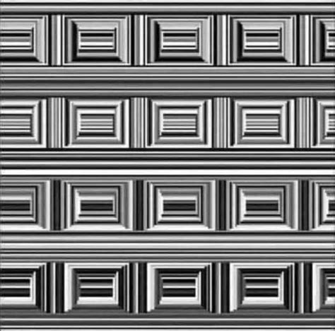 Once you see the circles, you can't unsee it : r/opticalillusions