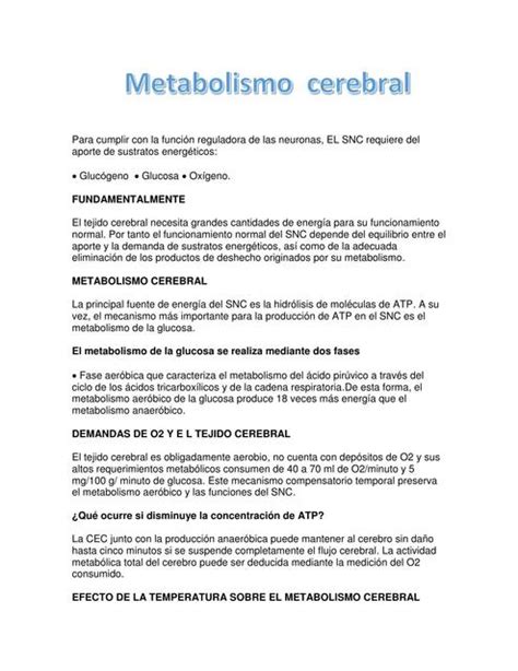 Sistema Nervioso Central Y El Metabolismo Cerebral Cinthia Reyes