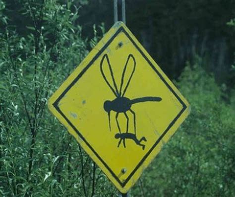 29 Unusual And Funny Road Signs Weird Road Signs Around The World