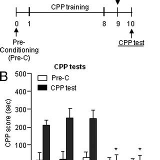 Inhibition Of PKM Activity By ZIP And Chelerythrine Injections Into