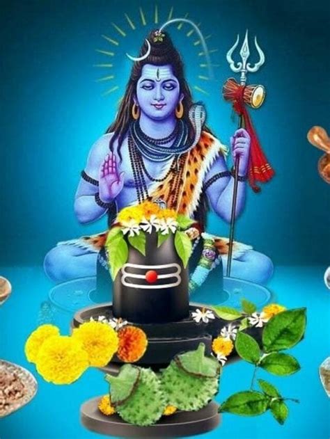 Maha Shivaratri 2024: Things to Donate to Please Lord Shiva