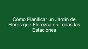 ᐈ Cómo Planificar Un Jardín De Flores Que Florezca En Todas Las