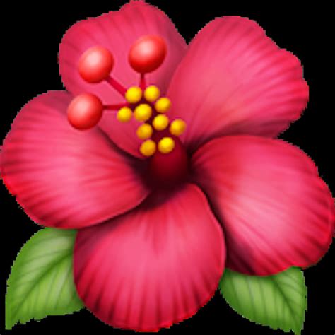 Wilted Flower Emoji Copy Paste | Best Flower Site