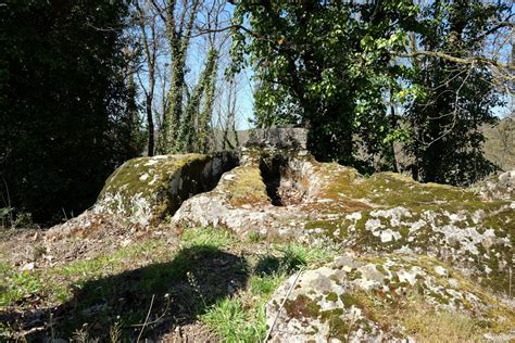 Escursione Riserva Monte Casoli E Selva Malano Avventurosamente