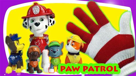 Paw Patrol Finger Family Song - YouTube