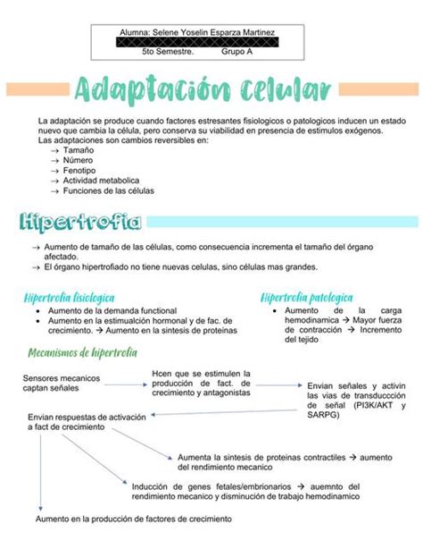 Adaptación celular Sel uDocz