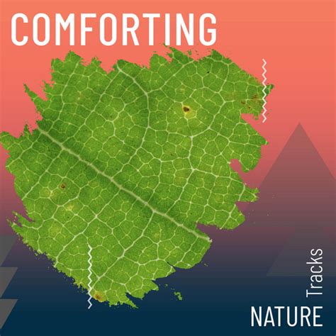 ZZz Comforting Nature Tracks ZZz Album By White Noise Nature Sounds