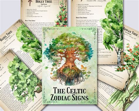 The Celtic Zodiac Tree Signs. Celtic Tree Astrology. Beautiful Pages ...