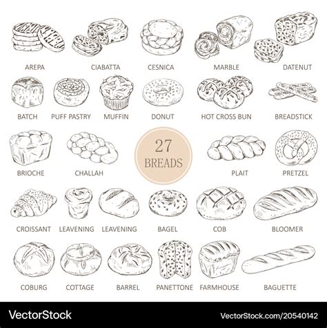 Isolated sketches of bread types Royalty Free Vector Image