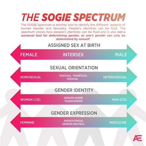 Millennial Of Manila On Twitter 7 A Straight Mans Sogie Is Sexual