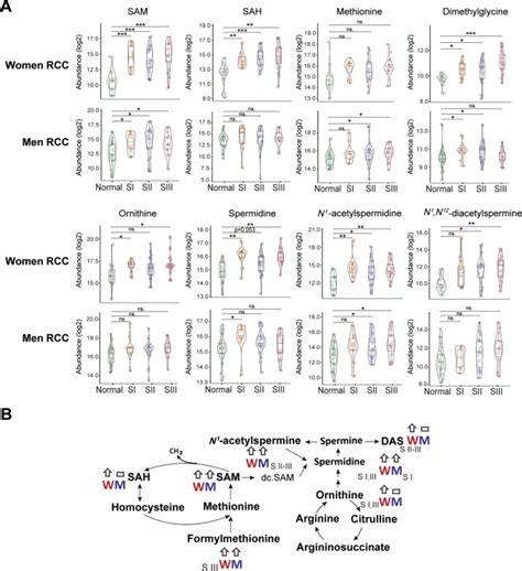 Sex Differences In Colon Cancer Metabolism Reveal A Novel Subphenotype