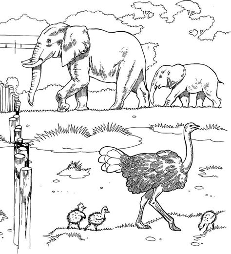 Coloriage Dessin D Animaux D Afrique T L Charger Et Imprimer Gratuit