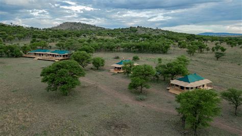 About Us Signature Serengeti Luxury Tented Safari Camp