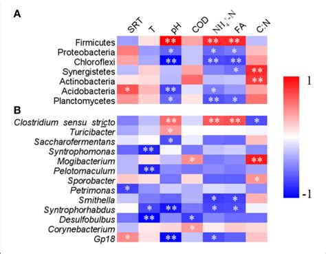 The Heatmap Showing The Correlations Of Relative Abundance Of Various Download Scientific