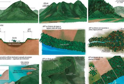 O Que Pode Ser Feito Em Área De Preservação Permanente - Exemplos de Área de Preservação Permanente e Sua Importância