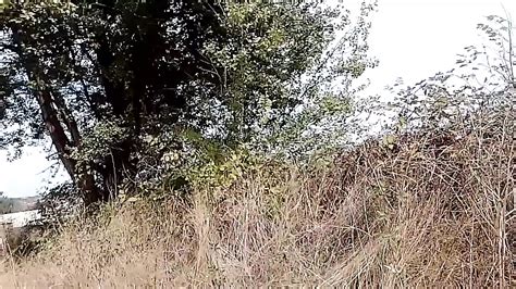 Back In Nature Bulgarian Erotica Homemade Porn By FapHouse XHamster