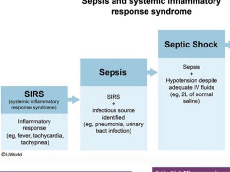 Nc Sepsis And Infectious Diseases Exam Flashcards Quizlet