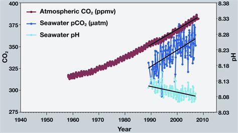 Ocean Acidification | Smithsonian Ocean