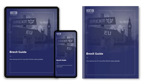 Brexit Guide Hoxton Capital Management