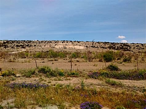 Monahans Sandhills State Park, Monahans TX – The Road Slowly Traveled