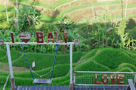 Discover the Charm of Tegallalang Rice Terrace in Ubud - Indonesia Travel