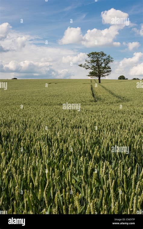 Outskirts of London Stock Photo - Alamy