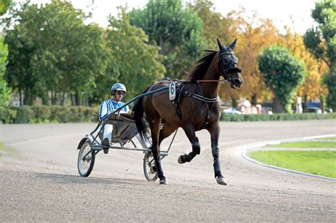 Berlin Trabrennbahn Mariendorf Halma Venus Tho Flickr