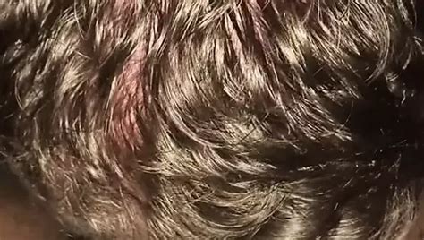 Bbc Latin Trans Free Solo Man Porn Video B Xhamster Xhamster