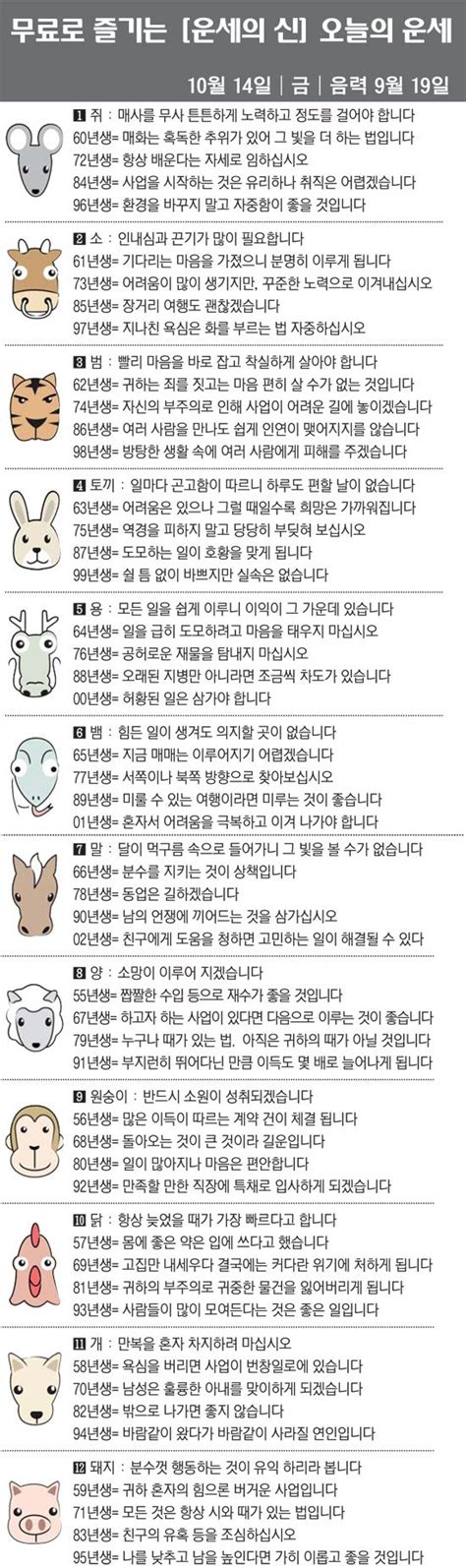 직장인을 위한 오늘의 운세 2022년 10월 14일 금요일 오늘의 띠별 운세 음력 9월 19일 네이트 뉴스