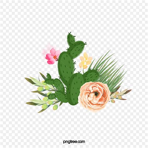 Flowering Cactus Clipart Vector, Fleshy Cactus Flowers, Green Cactus Bloom, Pink Flowers PNG ...