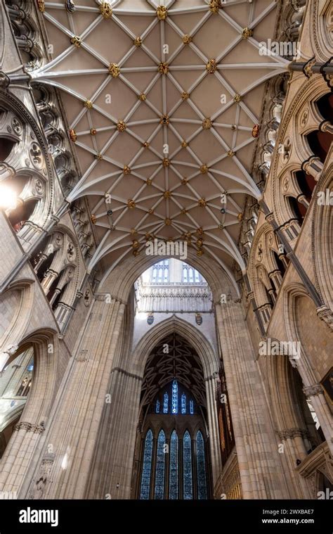 Vaulting Of South Transept York Minster Cathedral York England Stock