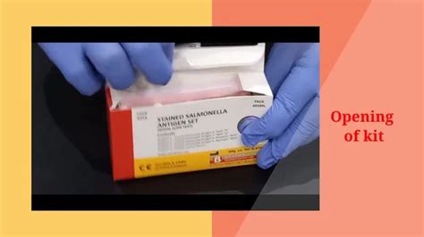 Widal Stained Salmonella Antigen Set At Rs Piece Typhoid Test Kit